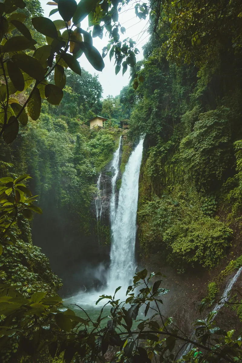 Jungle waterfall near Ubud